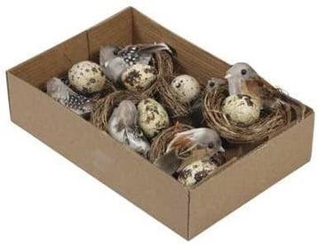 Vogelnestjes met 1 vogel en eitje op stick 7 cm doos 6 stuks, Ophalen of Verzenden, Nieuw