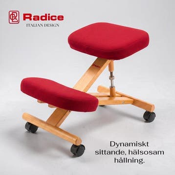 Sedia Posturale Ergonomica RADICE – Design Marco Radice Anno