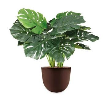 Monstera kunstplant, H70cm, Huis en Inrichting, Ophalen of Verzenden, Overige soorten, Minder dan 100 cm