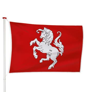 Twentse Ross Vlag Maat: 40x60cm, Verzenden, Nieuw