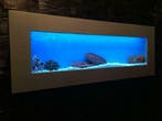 RVS Wand / muur aquaria met LED verlichting diverse kleuren, Ophalen, Nieuw, Leeg aquarium