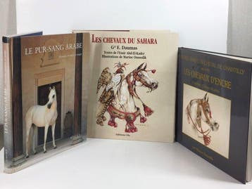 Marine Oudessik - Le pur-sang arabe: Histoire, mystère / Les, Antiek en Kunst