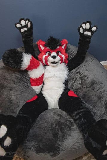 Luxe Husky Fursuit - Volwassen Mascot Kostuum voor Cosplay &, Verzenden, Nieuw
