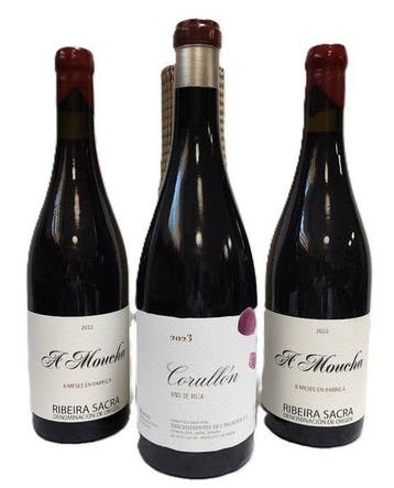 2023 Descendientes de José Palacios, Corullon, village wine, Verzamelen, Wijnen, Nieuw