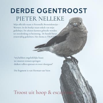 Derde Ogentroost | PIETER NELLEKE | Nieuw, Ophalen of Verzenden, Nieuw, PIETER NELLEKE