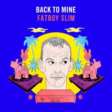 Fatboy Slim - Back To Mine, Ophalen of Verzenden, Gebruikt