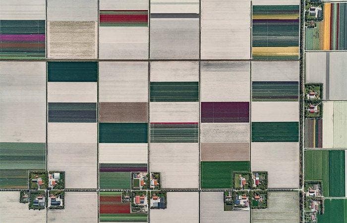 Bernhard Lang - AV_Tulip_Fields_001 XXL, Antiek en Kunst, Kunst | Designobjecten