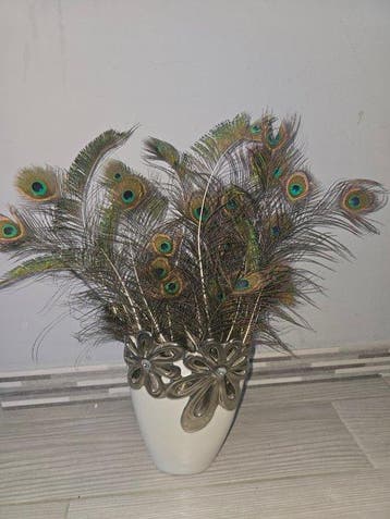 Decoratief ornament - 35 piccole piume di pavone originali, Nieuw