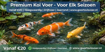 Premium Koi Voer-Voor Stralende Kleuren en Vitale Koi, Dieren en Toebehoren, Vissen | Vijvervissen, Karper of Koi