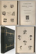 William Delisle Hay - An Elementary Text-Book of British, Antiek en Kunst