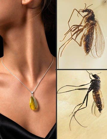 Uniek Baltisch barnsteen halsketting – MOSQUITO met meerdere