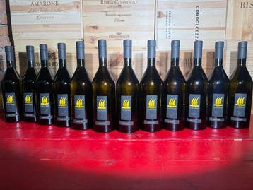 2021 x6 Friulano & 2021 x6 Malvasia, Paolo Caccese - Collio, Verzamelen, Nieuw