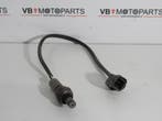 Honda NT 700 C Deauville Lambda sensor, Ophalen of Verzenden, Nieuw