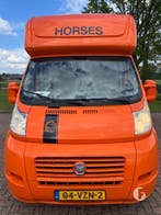 Knappe Paardenwagen Hengstenuitvoering! 2009!, Ophalen, Zo goed als nieuw, 2-paards trailer