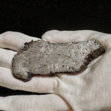 Snede van een ijzeren meteoriet uit Altai met fusiekorst, Verzamelen