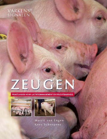 Zeugen | Marrit Engen; Kees Scheepens | Nieuw, Ophalen of Verzenden, Nieuw, Marrit Engen; Kees Scheepens
