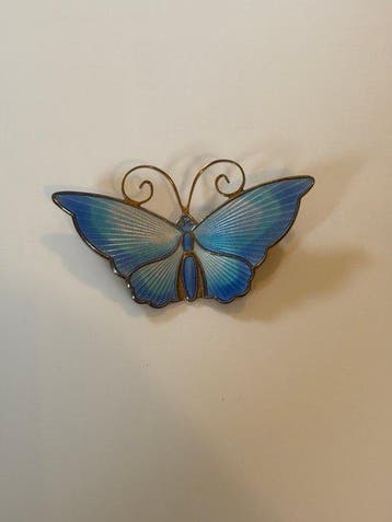 Zonder minimumprijs - Broche Zilver