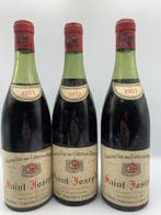 1972 E. Verilhac, Saint-Joseph - Saint-Joseph - 3 Flessen, Verzamelen, Wijnen, Nieuw