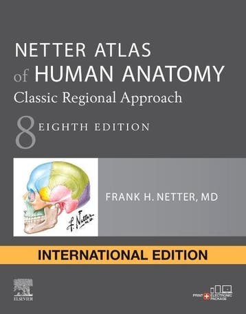 Netter Atlas of Human Anatomy Classic Regional 9780323680424, Zo goed als nieuw