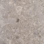 Vloertegel/Wandtegel Warmgrijs 58,5x58,5 (Muurtegels), Doe-het-zelf en Verbouw, Tegels, 40 tot 60 cm, 40 tot 60 cm, Keramiek, Nieuw