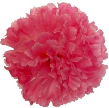 Anjerpick Roze Zijdenbloem per stuk, Ophalen of Verzenden, Nieuw