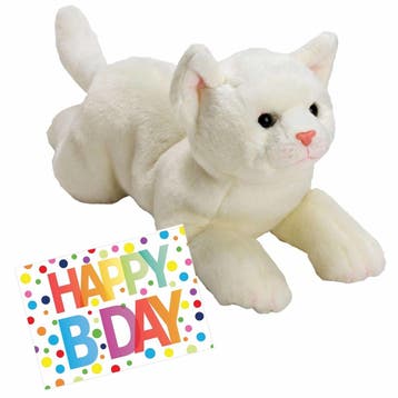 Pluche witte kat knuffel - 33 cm - met verjaardagskaart, Verzenden, Nieuw