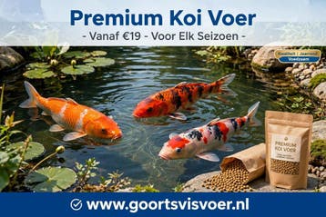 Premium Koi Voer-Voor Stralende Kleuren en Vitale Koi, Dieren en Toebehoren, Vissen | Vijvervissen, Karper of Koi
