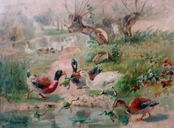 Franse school (XX) - Les canards prés de la mare