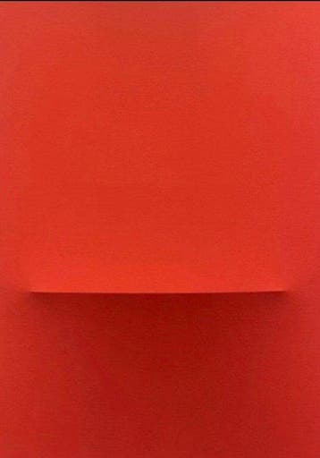Alessandro Alteo (1997) - Monocromo Rosso - 650