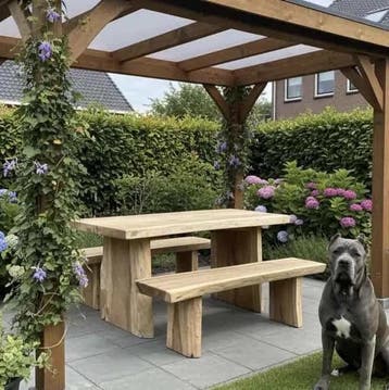 Boomstamtafel Suarhout Set | World of Brosi, Ophalen of Verzenden, Nieuw