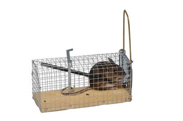 Muizenvangkooitje met houten bodem, Dieren en Toebehoren, Vogels | Hokken en Kooien, Ophalen of Verzenden, Nieuw