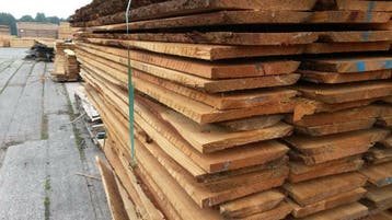Prijsknaller!!  Douglas Schaaldelen, lengte  260cm / 325cm, Minder dan 25 mm, Nieuw, Plank, 300 cm of meer