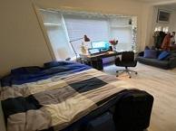 Studio Van Starkenborghstraat in Groningen, Overige soorten, Groningen
