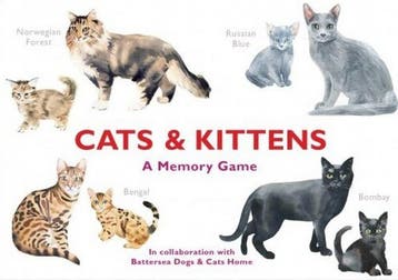 Cats & Kittens |  | Nieuw, Ophalen of Verzenden, Nieuw