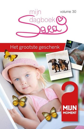 Het grootste geschenk / Sara mijn dagboek / 30 - Ria Maes, Boeken, Verzenden, Zo goed als nieuw, Ria Maes