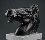 sculptuur, Testa di cavallo - 26 cm - Gips