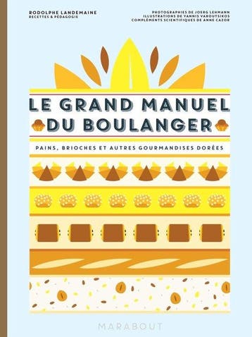 Boek LE GRAND MANUEL DU BOULANGER 9782501116695, Verzenden, Zo goed als nieuw