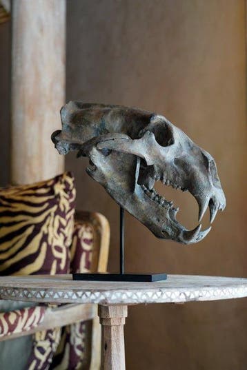 GEEN RESERVEPRIJS - Een replica van de schedel van een, Antiek en Kunst