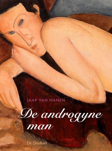 De androgyne man - Jaap Van Manen 9789060307786, Verzenden, Zo goed als nieuw, Jaap Van Manen