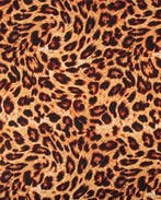 Polyester Panter Print, Nieuw, Overige kleuren