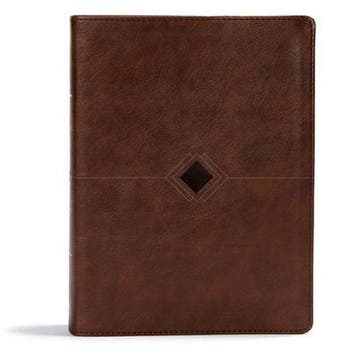 CSB Day-by-Day Chronological Bible, Brown Leathertouch, Verzenden, Gelezen, CSB Bibles by Holman CSB Bibles by Holman