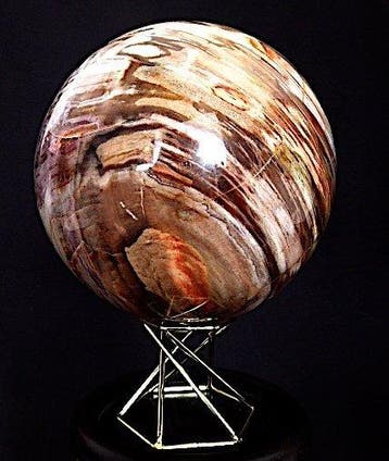 Museumkwaliteit Bal van Versteend Hout / Bal / - Hoogte: