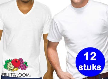12 Witte Fruit of the Loom T-shirts-Ronde Hals-XXL, Kleding | Heren, Verzenden, Nieuw, Fruit of the Loom