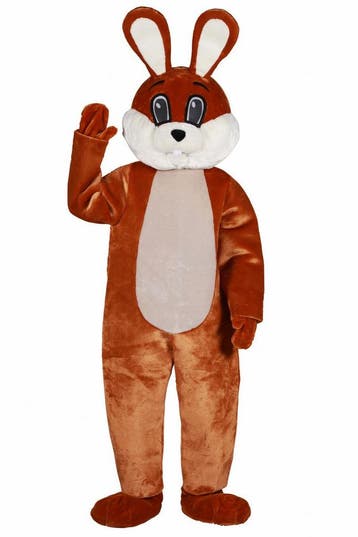 Paashaas Mascottepak Luxe, Verzenden, Nieuw