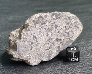 NWA 17660 Eucriet Polymict HED Achondrite Meteoriet Halve