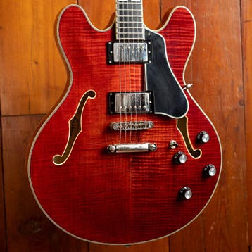 ARC-80251 Eastman T486 Classic occ, Ophalen of Verzenden, Nieuw