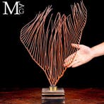 Prachtige rode Gorgonia op een houten en messing basis