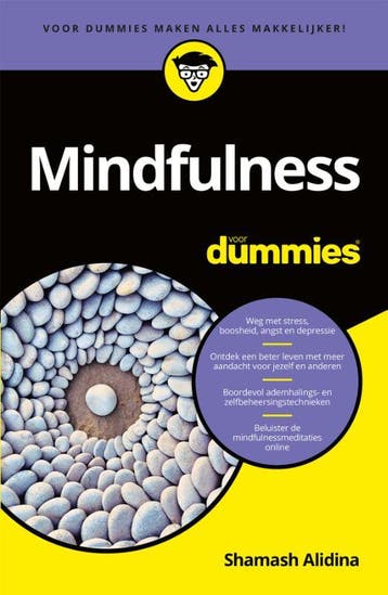 Mindfulness voor Dummies / Voor Dummies 9789045355573, Boeken, Verzenden, Gelezen, Shamash Alidina
