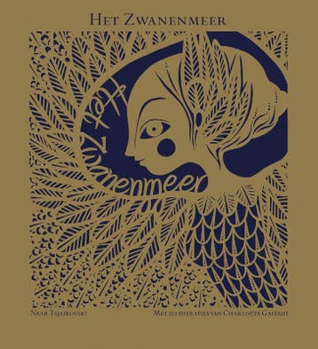 Het zwanenmeer - Pjotr Iljitsj Tsjaikovski 9789060387917, Verzenden, Zo goed als nieuw, Pjotr Iljitsj Tsjaikovski