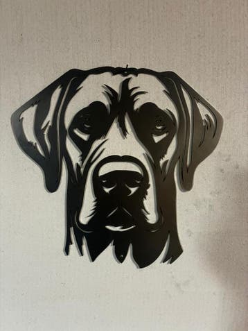 Rhodesian Ridgeback, Verzenden, Nieuw